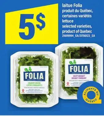 Maxi laitue Folia offer