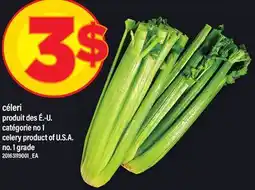Maxi Celery offer