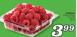 Marché Richelieu FRAMBOISES | RASPBERRIES offer