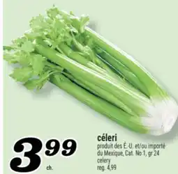 Marché Richelieu CÉLERI | CELERY offer