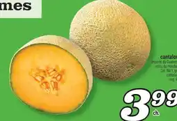 Marché Richelieu CANTALOUPE | CANTALOUP offer