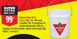 Canadian Tire Canadian Tire Mini Bucket offer