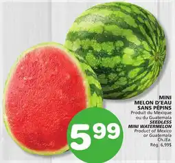Marches Tradition SEEDLESS MINI WATERMELON offer