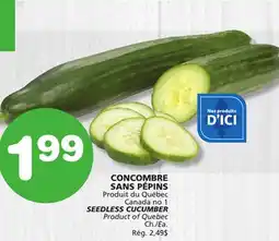 Marches Tradition SEEDLESS CUCUMBER offer