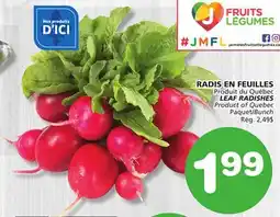 Marches Tradition LEAF RADISHES offer