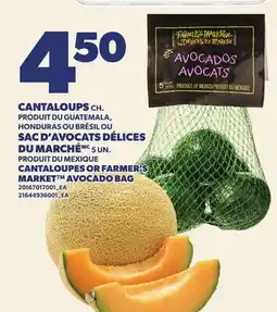 Provigo CANTALOUPS OU SAC D'AVOCATS DÉLICES DU MARCHÉ, 5 UN | CANTALOUPES OR FARMER'S AVOCADO BAG offer