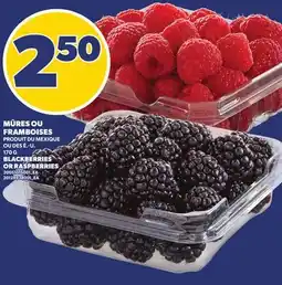 Provigo MÛRES OU FRAMBOISES | BLACKBERRIES OR RASPBERRIES offer