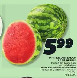 IGA SEEDLESS MINI WATERMELON offer
