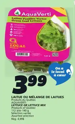 IGA AQUAVERTI LETTUCE OR LETTUCE MIX offer