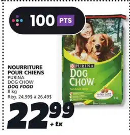 IGA PURINA DOG CHOW DOG FOOD offer