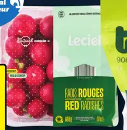 IGA GREENHOUSE RED RADISHES offer
