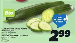 IGA ORGANIC SEEDLESS CUCUMBER offer