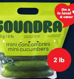 IGA SEEDLESS MINI CUCUMBERS offer