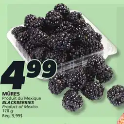 IGA BLACKBERRIES offer