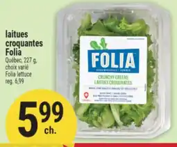 Marché Adonis LAITUES CROQUANTES FOLIA | FOLIA LETTUCE offer