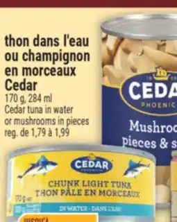 Marché Adonis THON DANS L'EAU OU CHAMPIGNON EN MORCEAUX CEDAR | CEDAR TUNA IN WATER OR MUSHROOMS IN PIECES offer