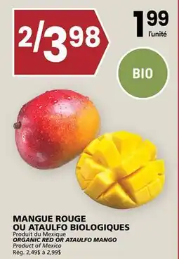 Rachelle-Bery Grocery ORGANIC RED OR ATAULFO MANGO offer