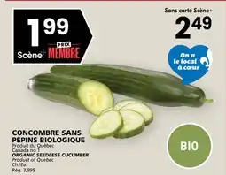 Rachelle-Bery Grocery ORGANIC SEEDLESS CUCUMBER offer