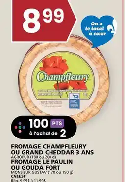 Rachelle-Bery Grocery AGROPUR (180 ou 200 g) MONSIEUR GUSTAV (170 ou 190 g) CHEESE offer