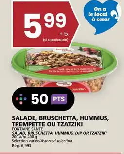 Rachelle-Bery Grocery FONTAINE SANTÉ SALAD, BRUSCHETTA, HUMMUS, DIP OR TZATZIKI offer