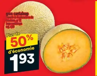 Super C GROS CANTALOUP | LARGE CANTALOUPE offer