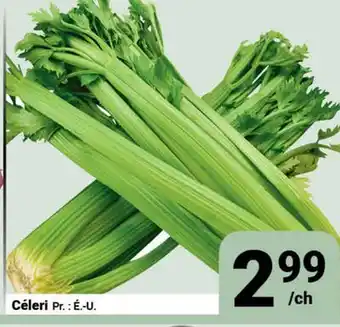 Pasquier Céleri offer