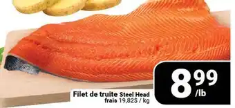 Pasquier Filet de truite Steel Head offer