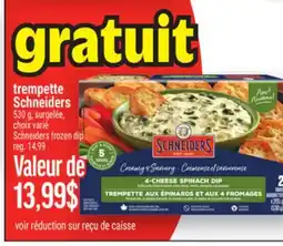 Metro TREMPETTE SCHNEIDERS | SCHNEIDERS FROZEN DIP offer