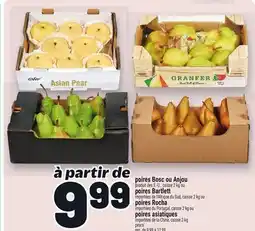 Metro POIRES BOSC OU ANJOU | PEARS offer