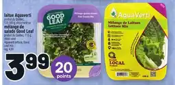 Metro LAITUE AQUAVERTI | AQUAVERTI LETTUCE offer