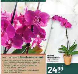 Metro ORCHIDÉE MA BOUQUETERIE | MA BOUQUETERIE ORCHID offer
