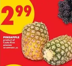 No Frills Pineapple offer