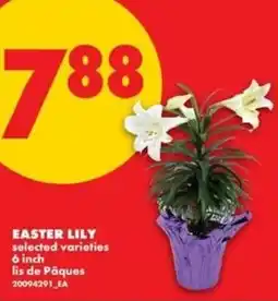 No Frills Easter lily offer