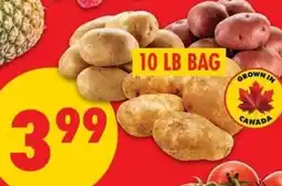 No Frills Red, russet or yellow potatoes offer