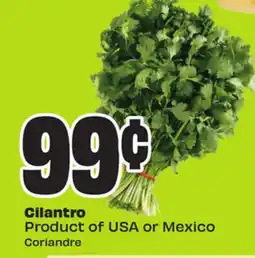 FreshCo Cilantro Product of USA or Mexico Coriandre - Vaisakhi offer