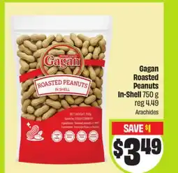 FreshCo Gagan Roasted Peanuts In-Shell 750 g - Vaisakhi offer
