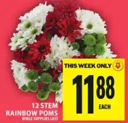 Food Basics 12 STEM RAINBOW POMS offer