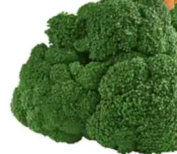 Food Basics BROCCOLI CROWNS OR YELLOW ONIONS offer