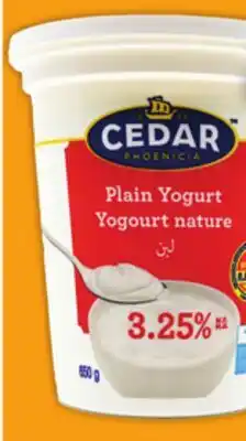 Food Basics PHOENICIA OR CEDAR YOGOURT offer