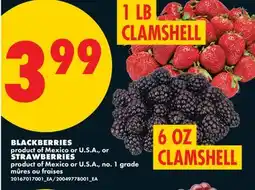 No Frills BLACKBERRIES, 6 OZ CLAMSHELL or STRAWBERRIES, 1 LB CLAMSHELL product of Mexico or. S offer