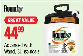 Canadian Tire Advanced with Wand offer