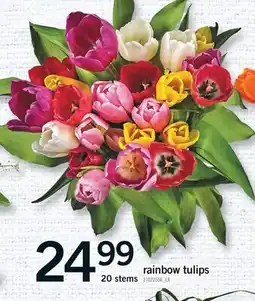 Fortinos RAINBOW TULIPS, 20 STEMS offer