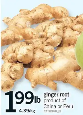 Fortinos GINGER ROOT offer