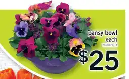 Fortinos PANSY BOWL, EACH offer