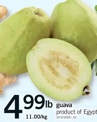 Fortinos GUAVA offer