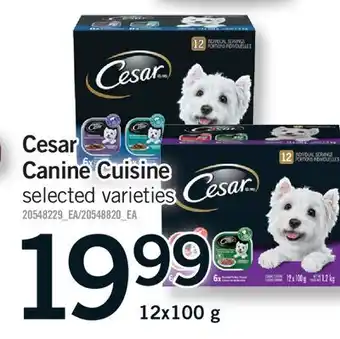Fortinos CESAR CANINE CUISINE offer