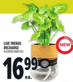 Metro LIVE TRENDS RECHARGE offer
