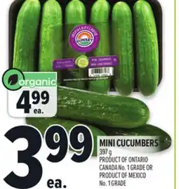 Metro MINI CUCUMBERS offer