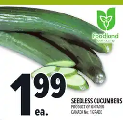 Metro SEEDLESS CUCUMBERS offer
