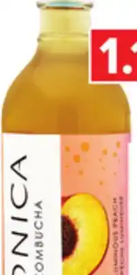 Metro TONICA ORGANIC KOMBUCHA offer